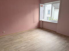 Bild: 